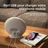 Réveil Radio Simulateur d'Aube connectée